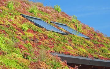 Langrick living roof systems