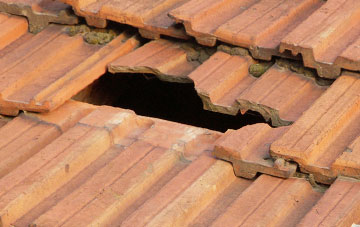 roof repair Langrick, Lincolnshire