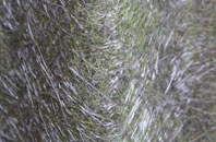 Langrick fibreglass roof work